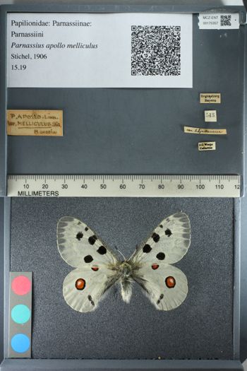 Media type: image;   Entomology 175357